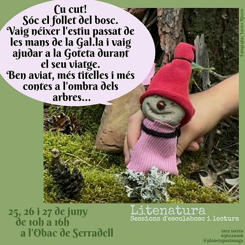 Aquests dies que passem al bosc, és la mainada, amb el seu ritme i interessos, qui defineix com s'esdevindrà cada jornada. 
L'estiu passat, del que era una proposta creativa de fer una titella amb elements naturals ens hi vam passar tot un dia. Vam acabar inventant una història i representant-la entre totes. 
La setmana vinent, del 25 al 27 de juny, a l'Obac de Serradell, seguirem estirant aquest fil, inspirant-nos en els contes d'en Gianni Rodari o en Rudyard Kipling i en la natura que ens envolta. 
Un dia, 27€. Tots tres, 77€. 
Us podeu inscriure al següent enllaç https://forms.gle/nQj5Ycx77MowUJsz7
Més informació al 636021006 i a planetapastanaga@gmail.com